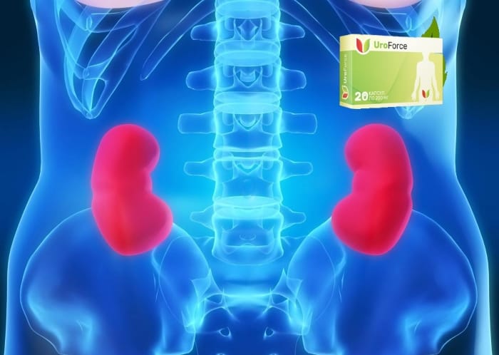 Состав капсул UroForce (УроФорс) для почек от мочекаменной болезни