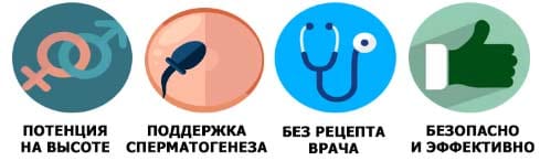 Ант Кинг действие