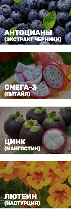 состав