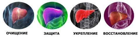 Биогепам действие