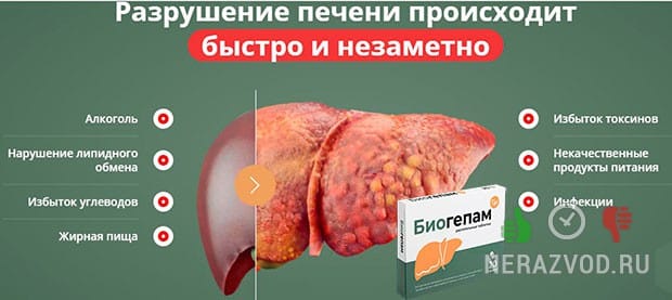 Биогепам для защиты печени