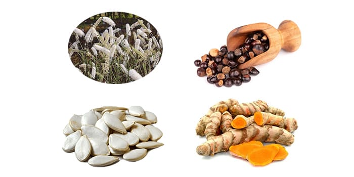 Состав препарата Black Cohosh.