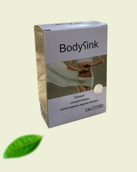 БодиСИнк