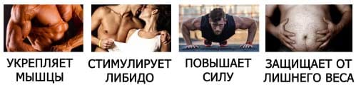 Экдистерон действие