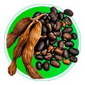Экстракт из жгучей Мукуны в составе Липофорт