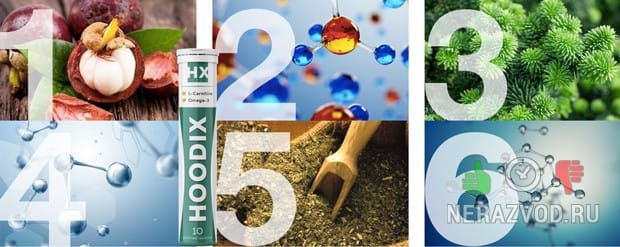 состав hoodix