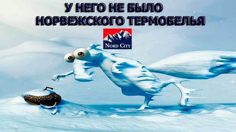 Сравнение с белкой