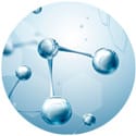 L-Carnitine