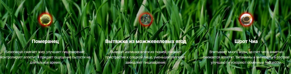 состав Липо Фаст