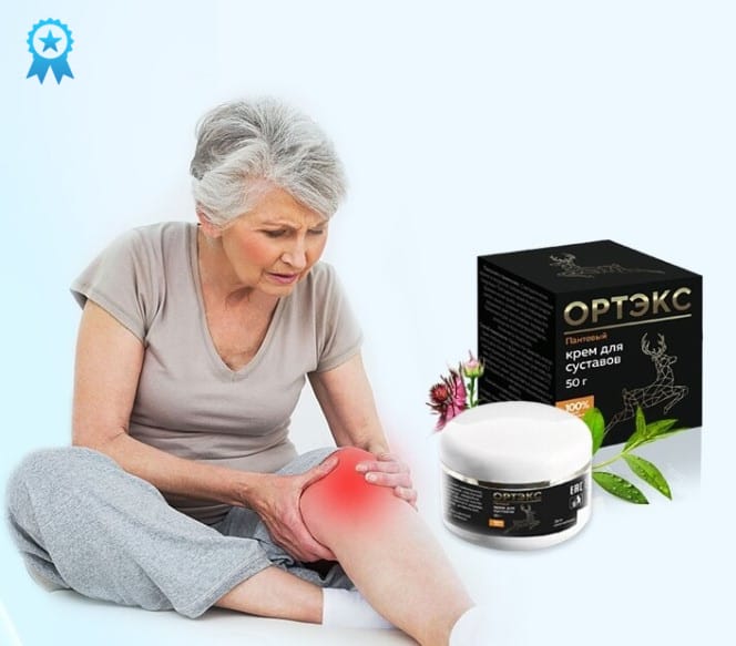 Основные преимущества Ортэкс