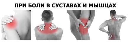 Сустав Про действие