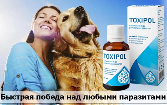 Токсипол купить